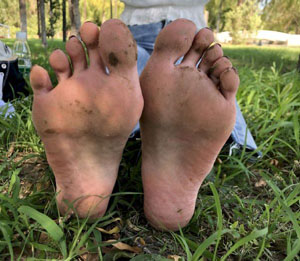 完美世界特别篇免费观看_BD英语完整在线观看